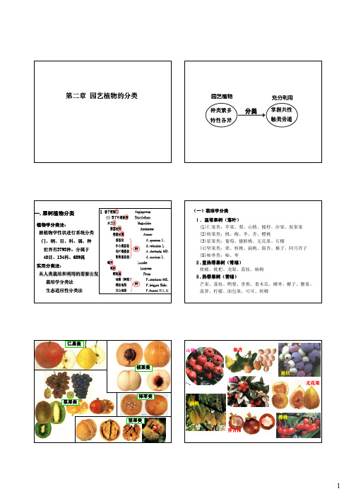 园艺植物学概论分类