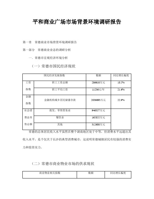 平和商业广场市场背景环境调研报告