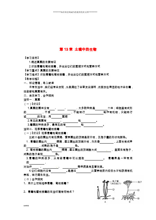 七年级生物下册 第13章 土壤中的生物学案4(无答案)(新版)苏科版