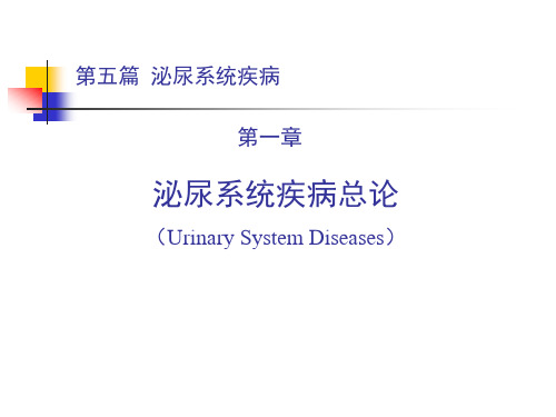 内科学第五篇_第一章_泌尿系统疾病总论