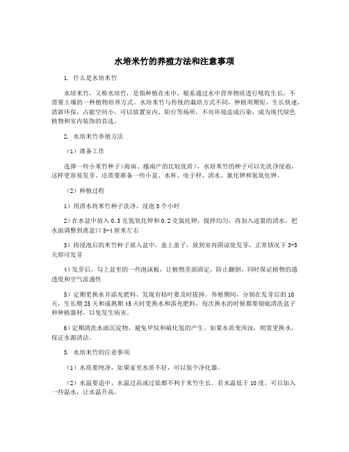 水培米竹的养殖方法和注意事项