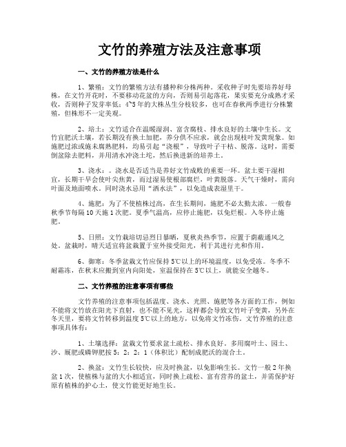 文竹的养殖方法及注意事项