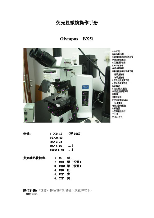 荧光显微镜操作手册