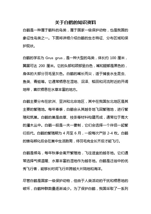 关于白鹤的知识资料