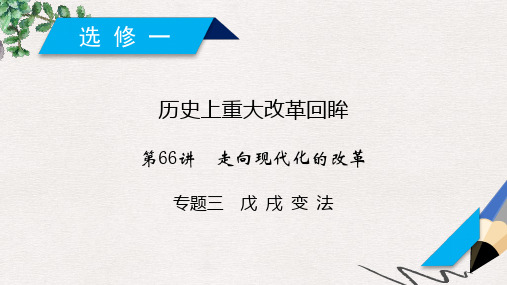 高考历史一轮复习 第66讲 走向现代化的改革 专题3 戊戌变法课件 岳麓版