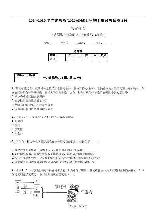 2024-2025学年沪教版(2020)必修1生物上册月考试卷114