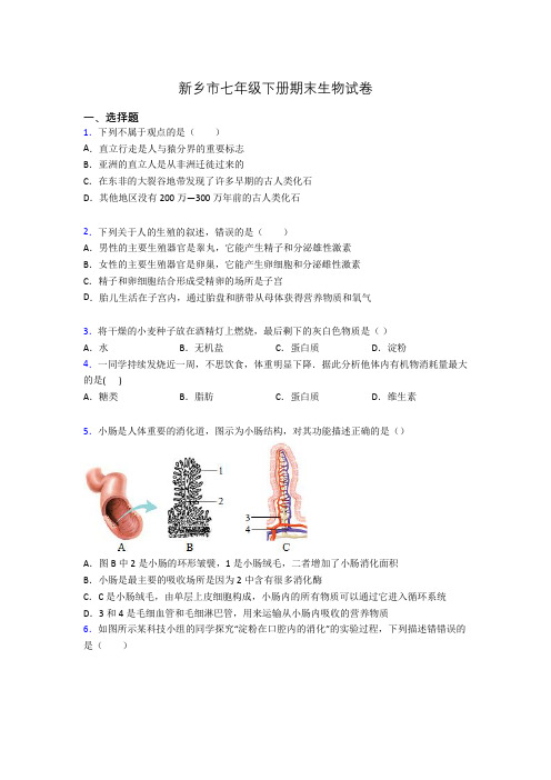 新乡市七年级下册期末生物试卷