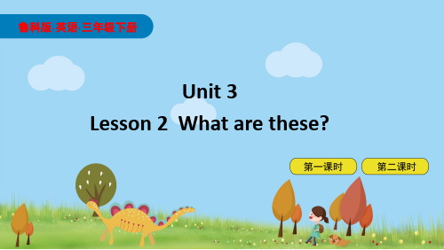 鲁科版小学三年级英语下册Unit 3-Lesson2课件