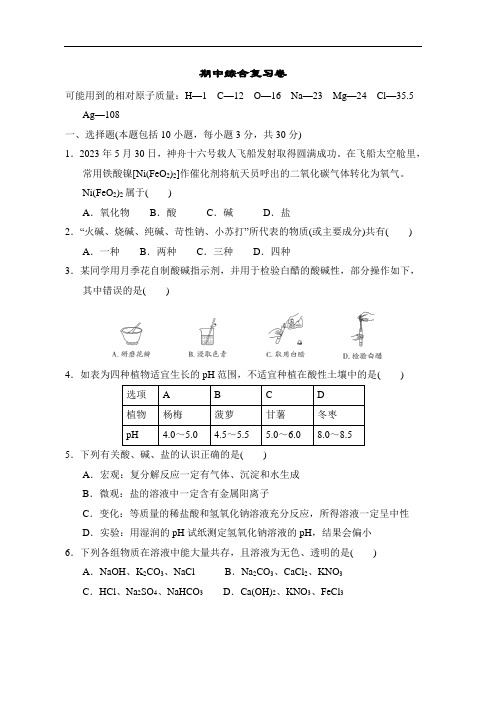 期中综合复习卷 2023-2024学年鲁教版化学九年级下册