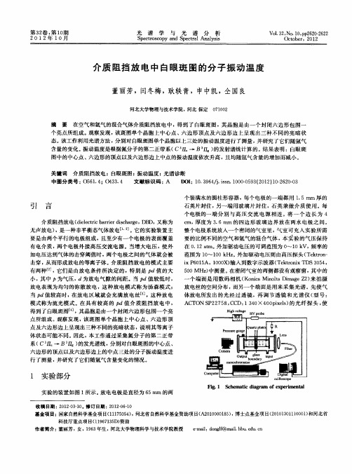 介质阻挡放电中白眼斑图的分子振动温度