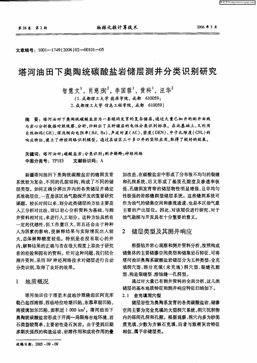 塔河油田下奥陶统碳酸盐岩储层测井分类识别研究