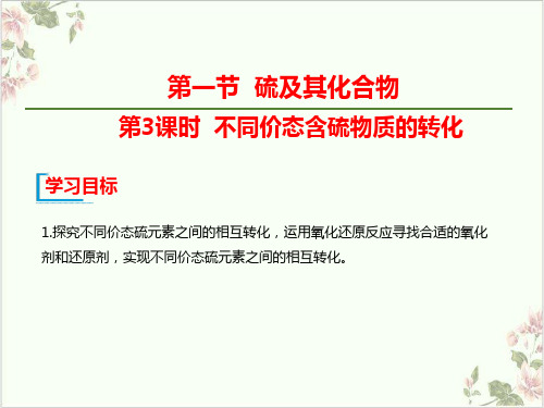 高中化学必修第二册PPT课件化工生产中的重要非金属元素不同价态含硫物质的转化