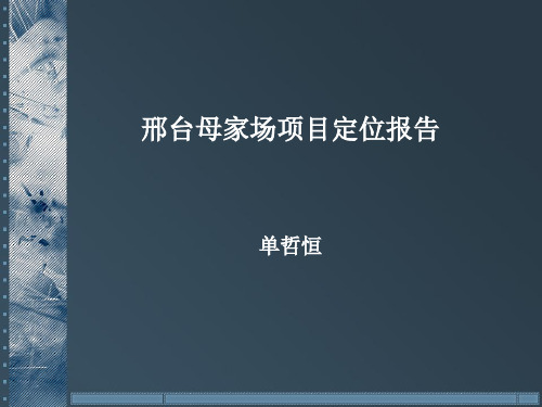 邢台母家场项目定
