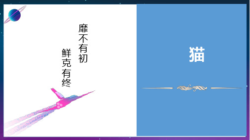 第17课《猫》课件精品
