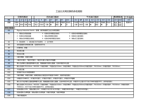 基础：交换机命名规格-无锡锐格思