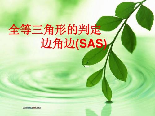 全等三角形的判定SAS