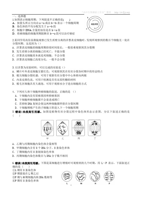 高中生物必修一第六章细胞增殖 考卷及答案