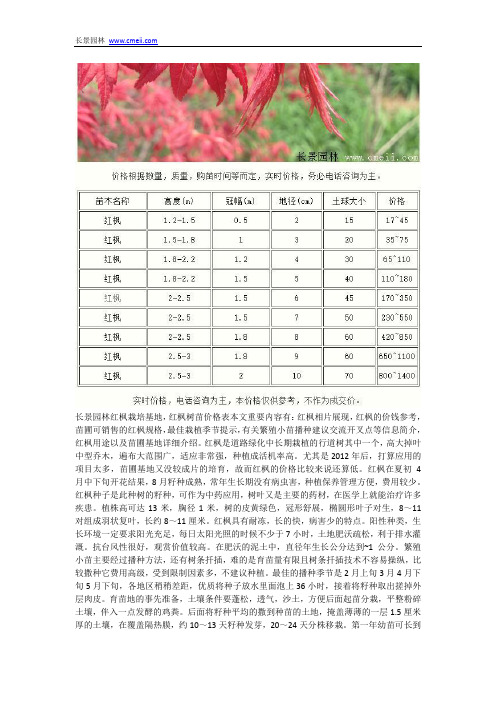 红枫树苗价格表