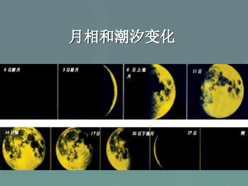 高二地理选修1 第三节 月相和潮汐变化(2)