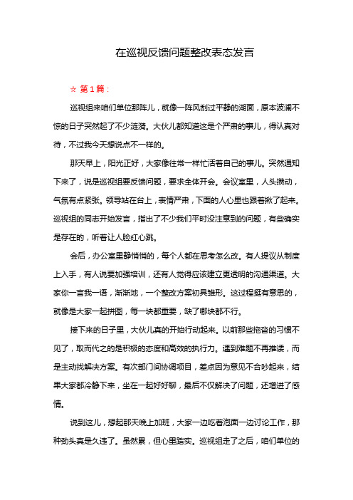 在巡视反馈问题整改表态发言