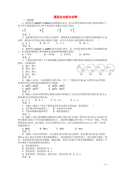 高中生物 第二节《自由组合定律》同步练习5 浙科版必修2