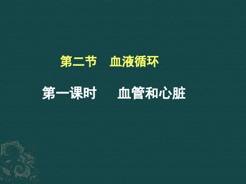 北师大版七年级下册生物第四单元第9章人体内的物质运输 第二节  血液循环(3课时)