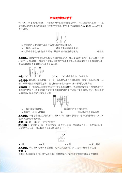 九年级化学 钢铁的锈蚀与防护例题与探究 鲁教版