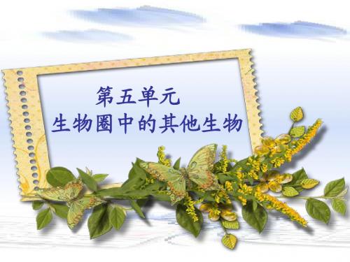 人教版八年级上册生物第五单元第一章第一节腔肠动物和扁形动物课件(65张PPT)