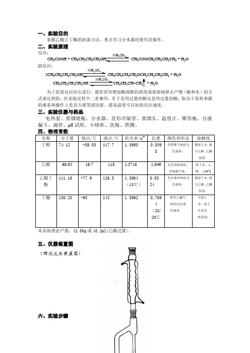 乙酸正丁酯的制备