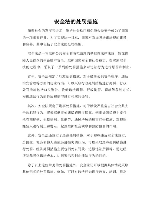 安全法的处罚措施