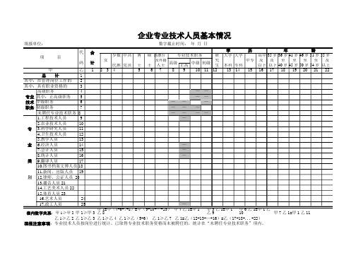 企业专业技术人员基本情况表