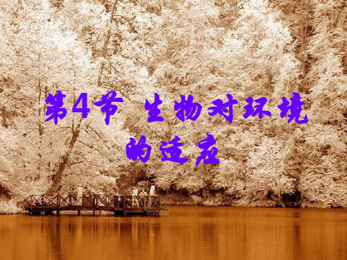 第4节生物对环境的适应课件