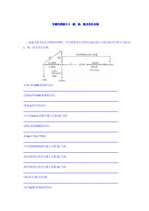 2018版高考化学大一轮专题复习：第二单元 元素及其化合物 专题巩固练习5 碳、硅、氯及其化合物 含答案