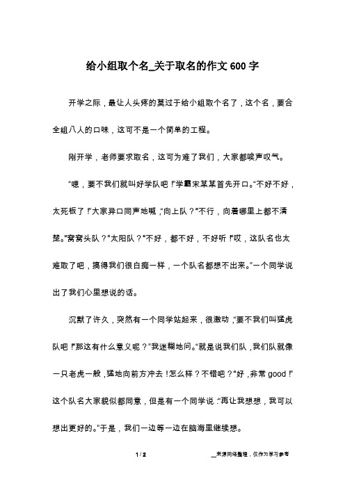 给小组取个名_关于取名的作文600字