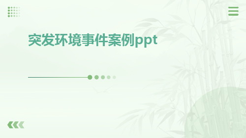 突发环境事件案例ppt