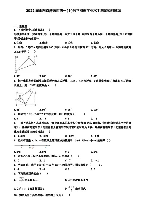 2022届山东省潍坊市初一(上)数学期末学业水平测试模拟试题