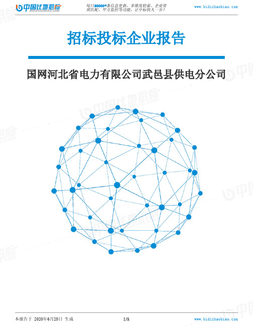 国网河北省电力有限公司武邑县供电分公司-招投标数据分析报告