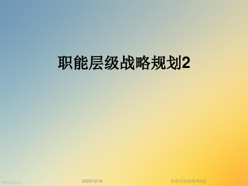 职能层级战略规划2