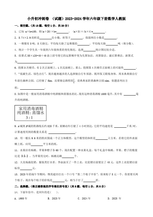 小升初冲刺卷 (试题)2023-2024学年六年级下册数学人教版