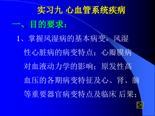 实习八 心血管系统疾病