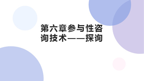 第六章参与性咨询技术——探询