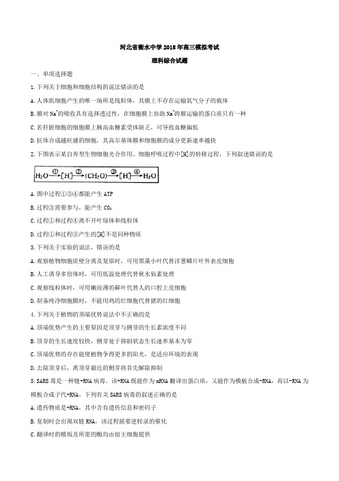 河北省衡水中学2018年高三模拟考试理科综合试题及答案