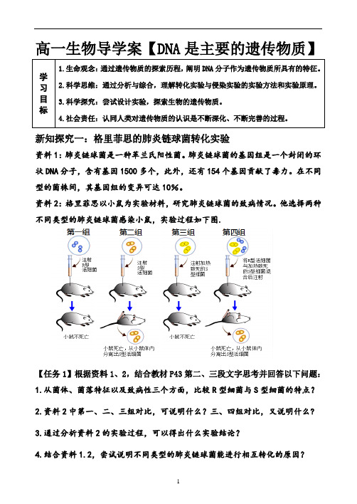 高一生物导学案【DNA是主要的遗传物质】