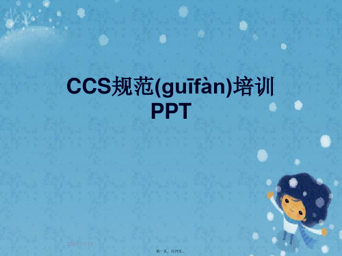 CCS规范培训PPT