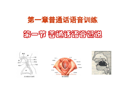 第一节 语音概说