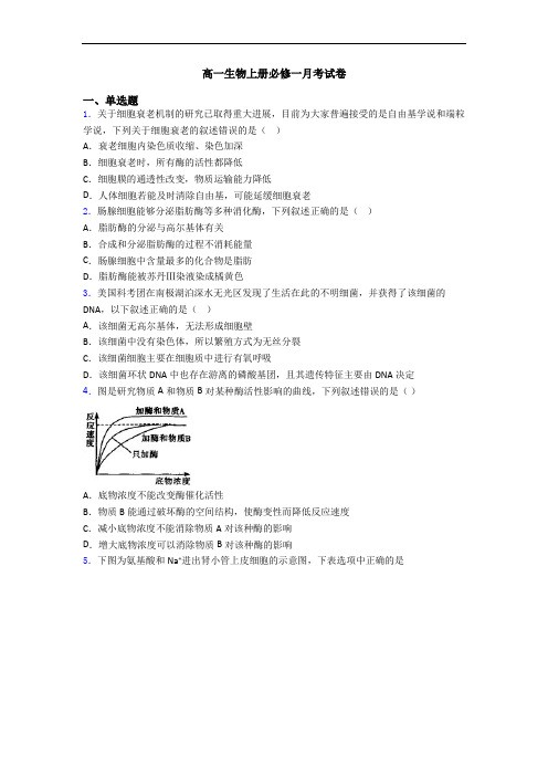 高一生物上册必修一月考试卷