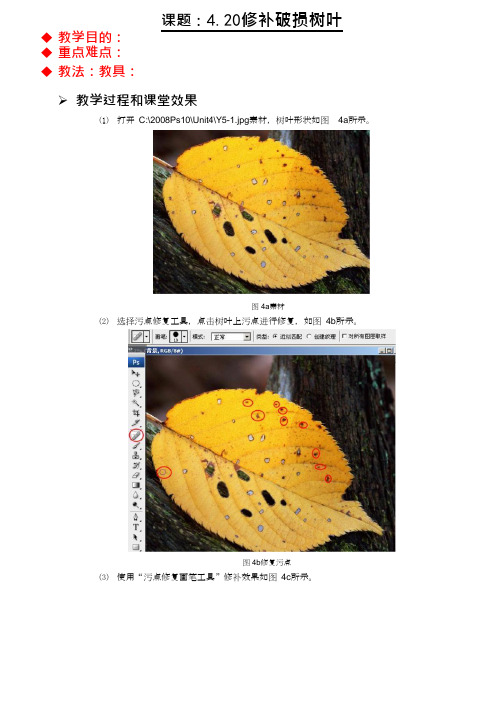 Photoshop课件教案(修补破损树叶)(最新整理)