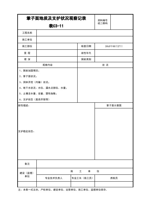 11掌子面地质及支护状况观察记录C3-11--7份