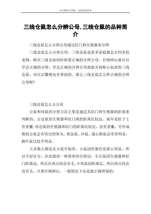 三线仓鼠怎么分辨公母,三线仓鼠的品种简介