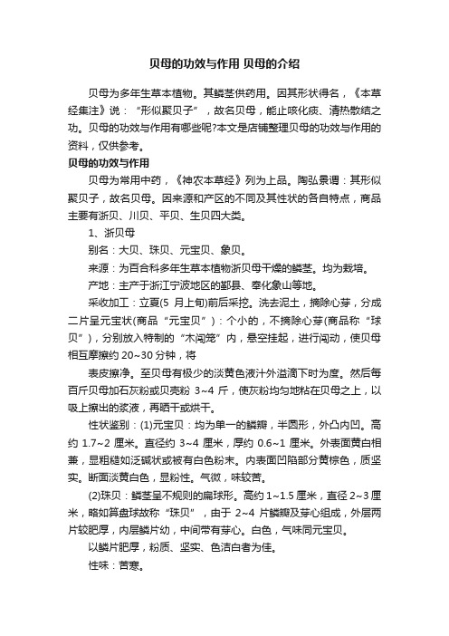 贝母的功效与作用贝母的介绍